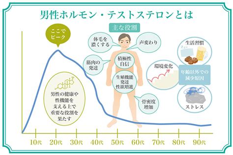 恋愛 テストステロン|恋愛ホルモンの効果！恋の始まりと終わりに大きく影。